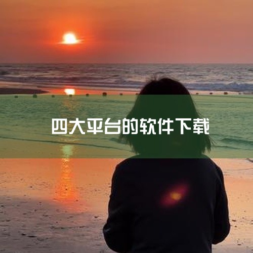 应用宝：腾讯公司运营的智能手机应用市场，拥有庞大的用户群体，支持国际和国内应用的推广与下载，提供个性化推荐服务。豌豆荚：国内领先的独立安卓应用商店，以用户需求为导向，不断优化产品和服务，提供应用下载、,