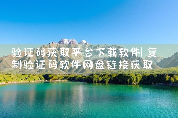 验证码获取平台下载软件