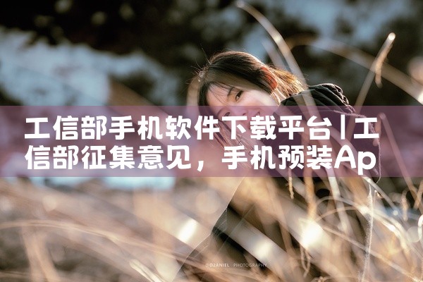 工信部手机软件下载平台